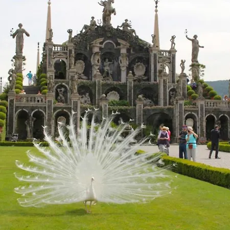 Antico Palazzo Maggiore