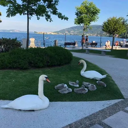 Antico Palazzo Maggiore *